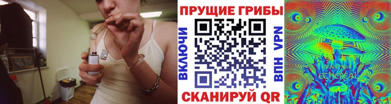ОМГ ОМГ зеркало  купить наркотики цена  Ленск  Псилоцибиновые грибы Psilocybe 